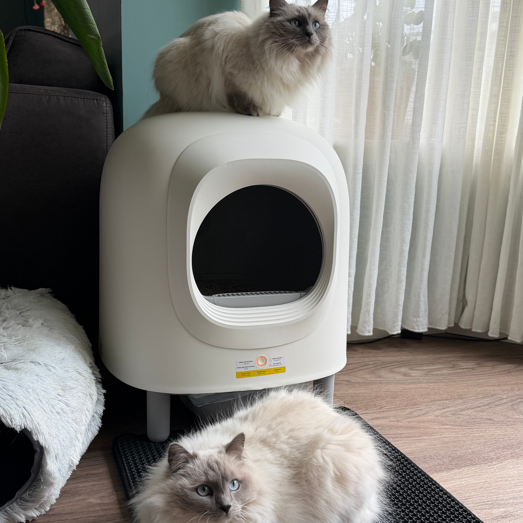 Petree Cube - Litière Chat Autonettoyante