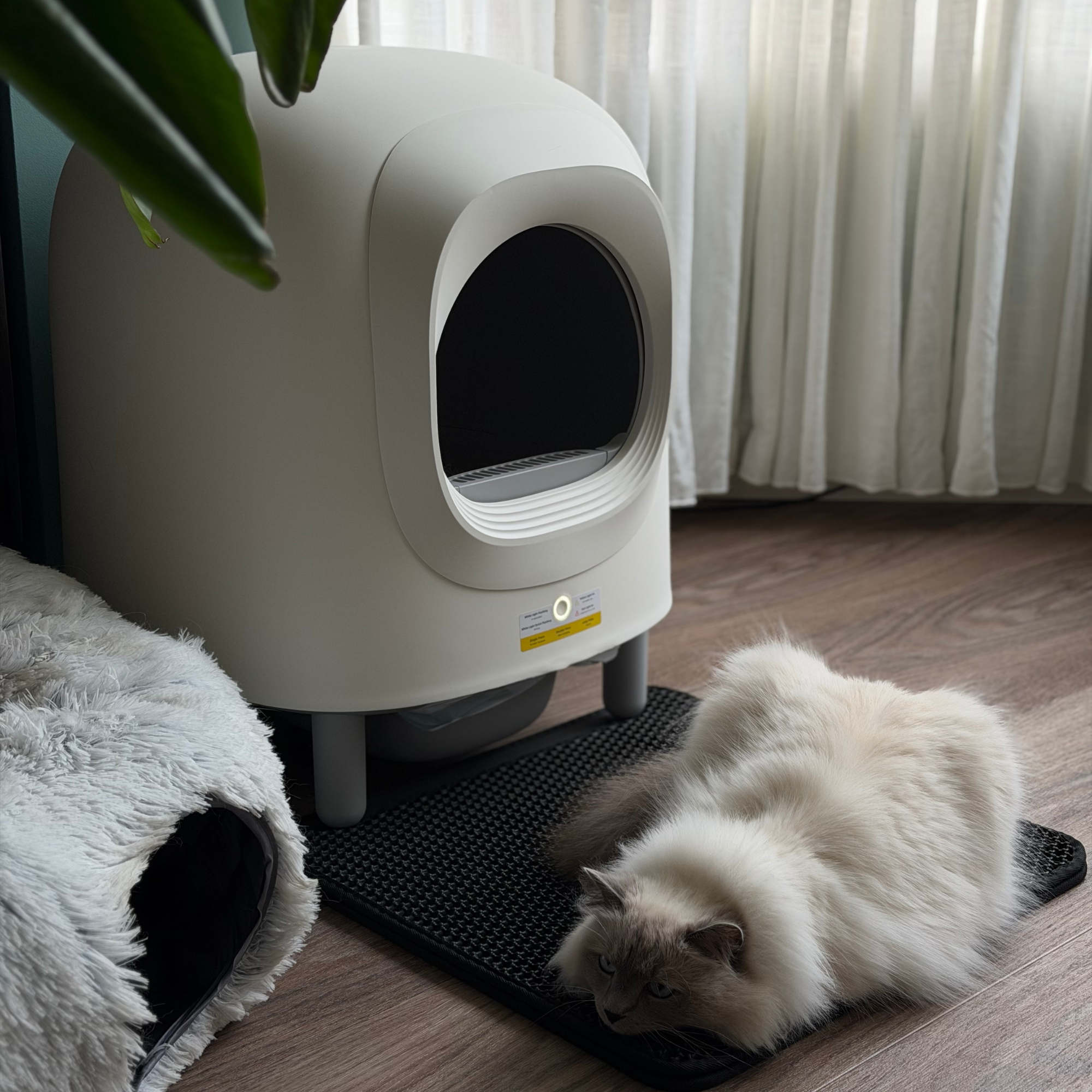 Petree Cube v2 – Selbstreinigende Katzentoilette