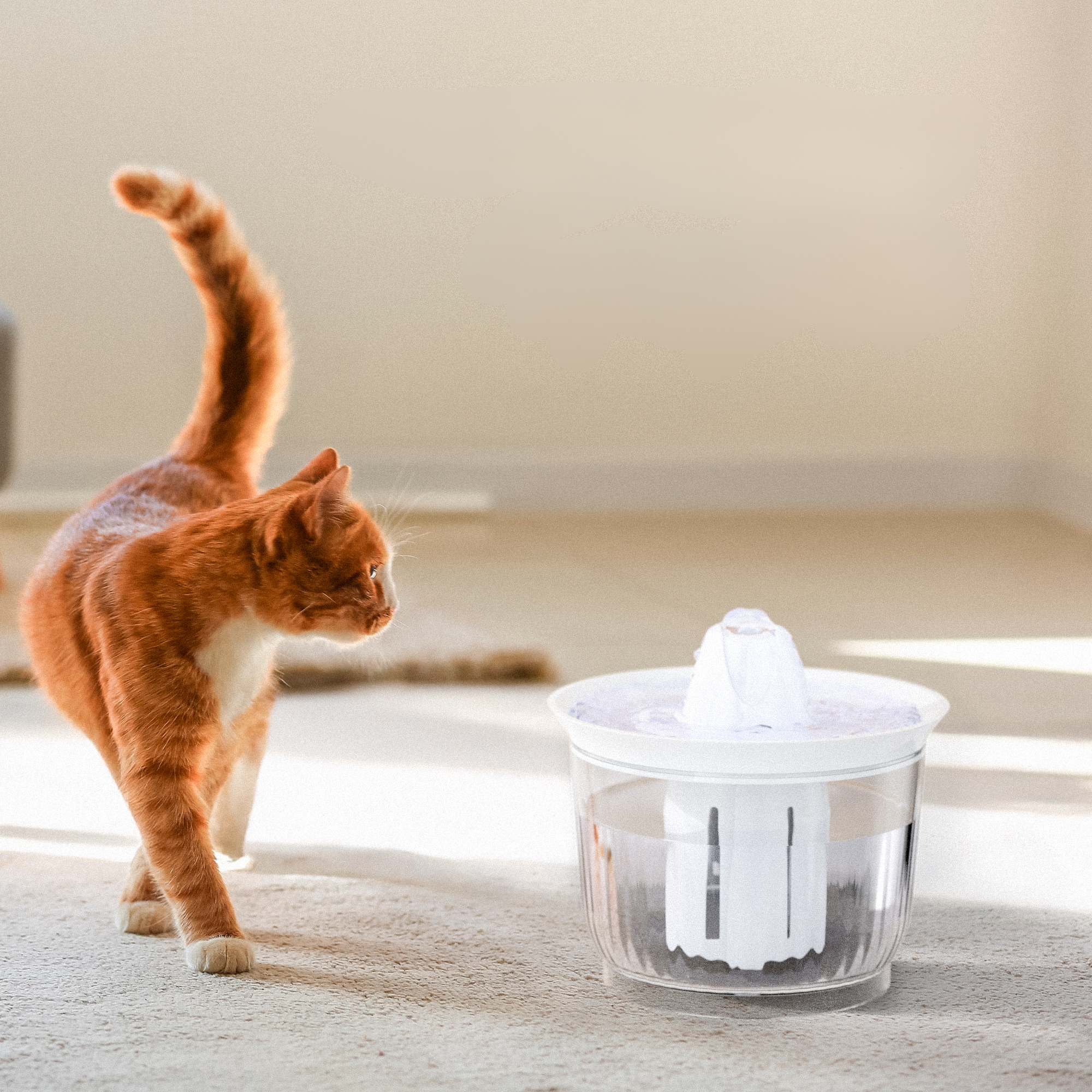 Petree Splash – Fontaine à Eau