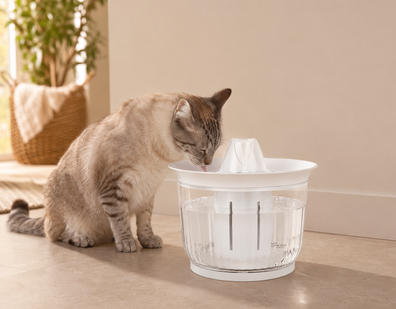 Je kat drinkt vers, stromend water