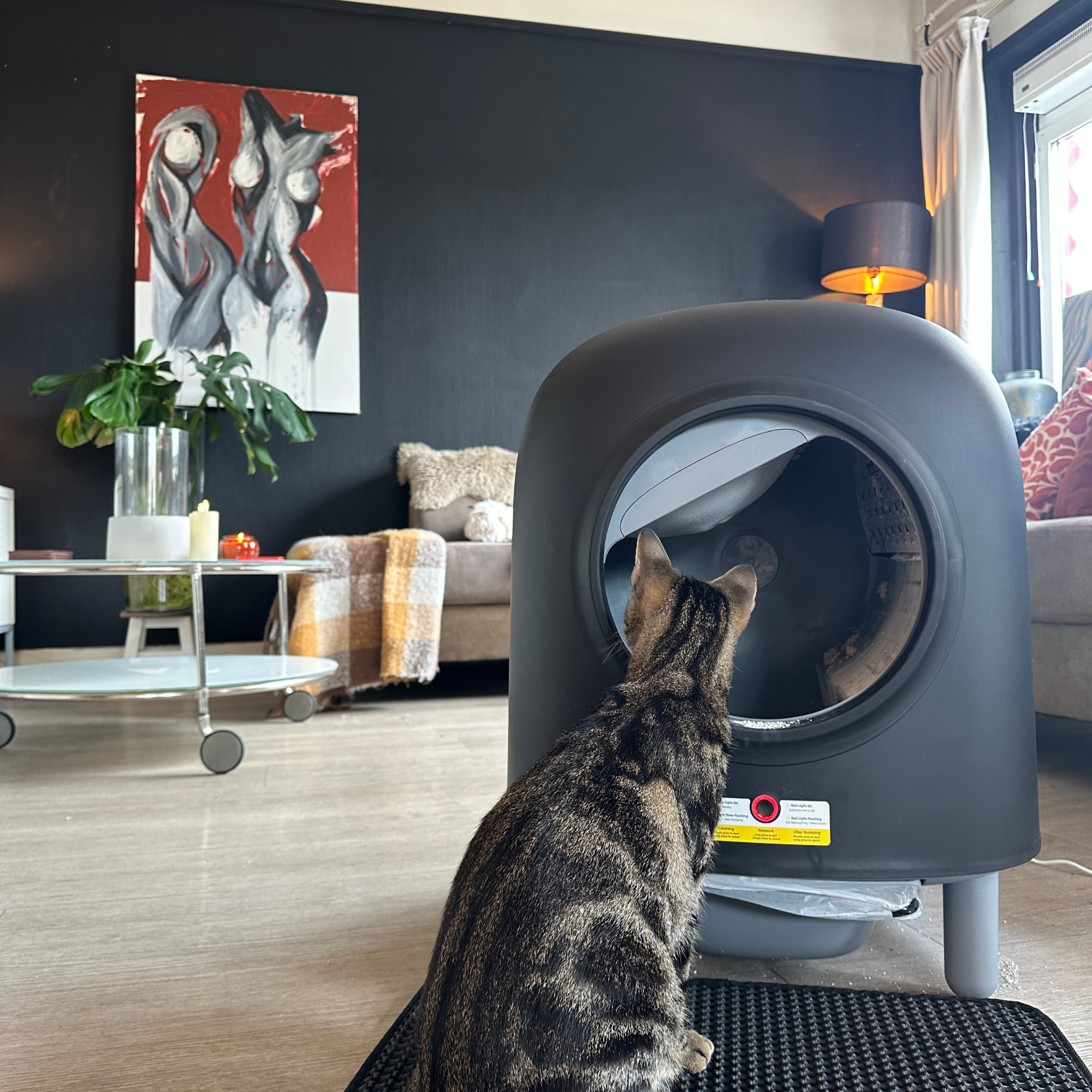 PRE ORDER - Petree Cube - Zelfreinigende kattenbak - Black Edition